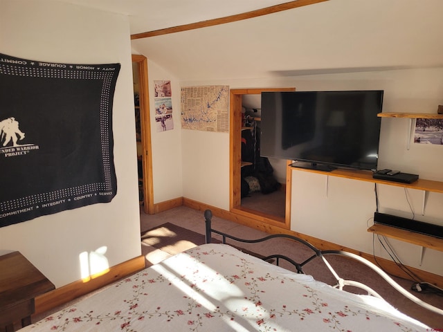 carpeted bedroom with vaulted ceiling and a closet