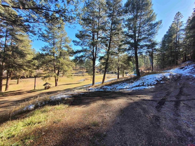 view of road