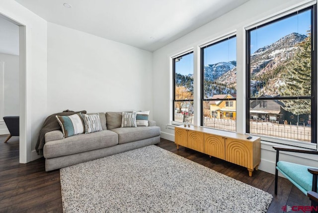 living room featuring a mountain view, dark wood-type flooring, and radiator