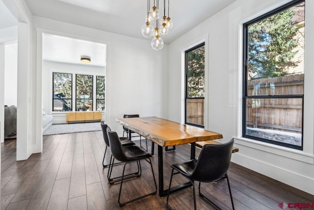 dining room with a notable chandelier and hardwood / wood-style flooring