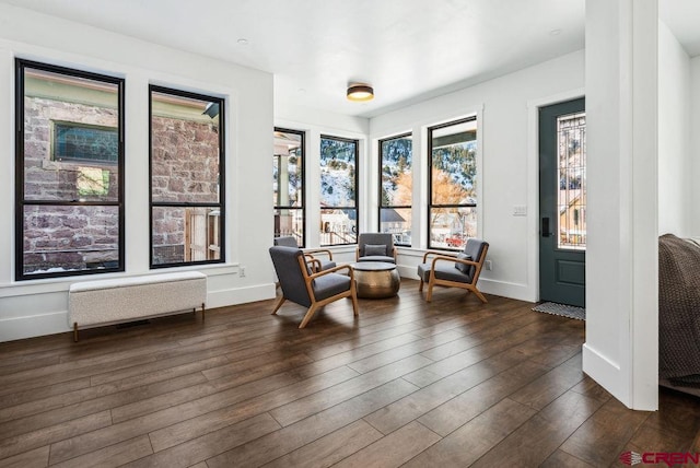 sitting room with radiator heating unit and dark hardwood / wood-style floors