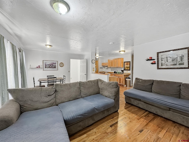 living room with a textured ceiling and light hardwood / wood-style flooring