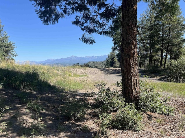 X Dolese Ct, Pagosa Springs CO, 81147 land for sale