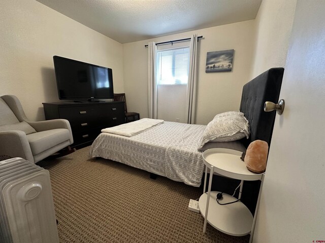 bedroom with a textured ceiling and dark carpet