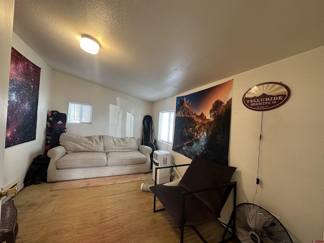 living room featuring a textured ceiling and vaulted ceiling