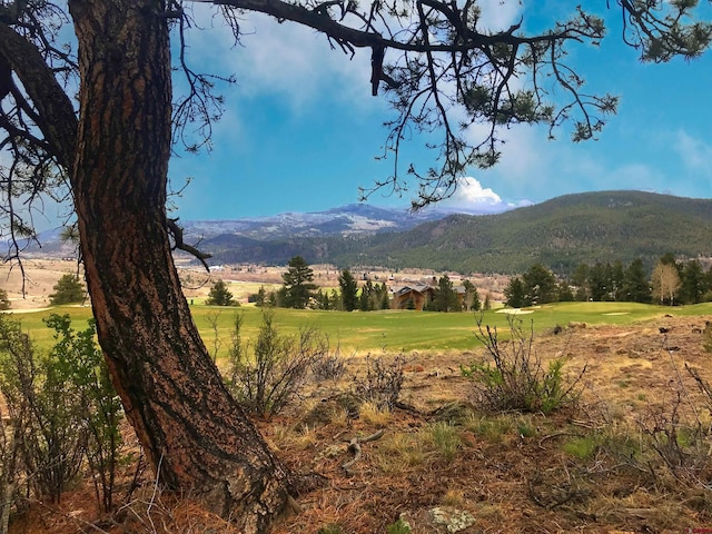 710 Blanca Vista Dr, South Fork CO, 81154 land for sale