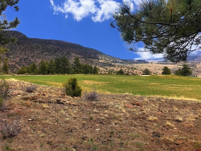 Listing photo 2 for 710 Blanca Vista Dr, South Fork CO 81154