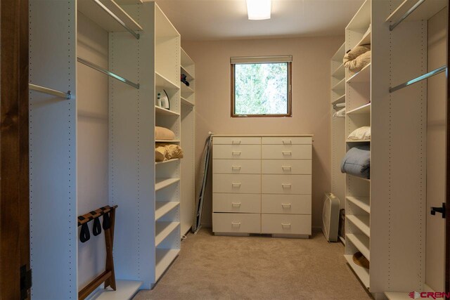 spacious closet with light carpet