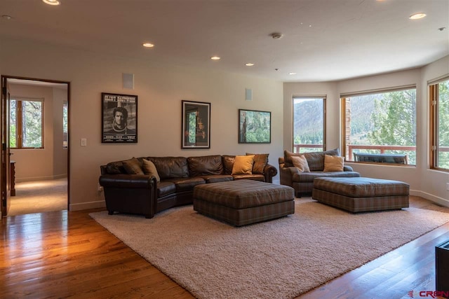 living room with hardwood / wood-style flooring