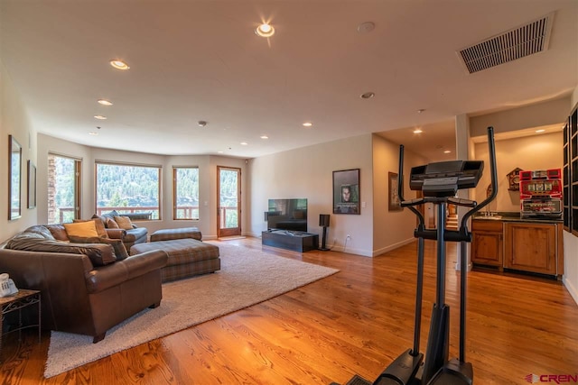 living room with light hardwood / wood-style flooring