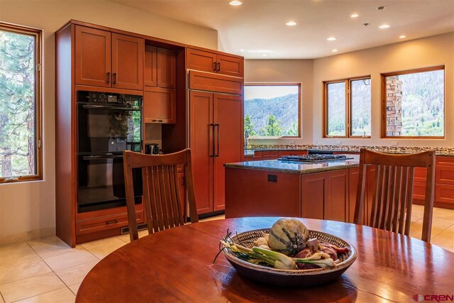 kitchen with paneled refrigerator, black double oven, a wealth of natural light, and dark stone countertops