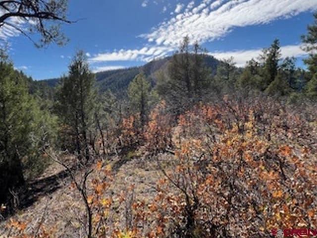 X Pine Crest Rd, Pagosa Springs CO, 81147 land for sale