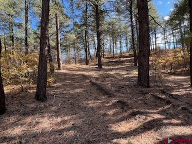 Listing photo 3 for X Pine Crest Rd, Pagosa Springs CO 81147