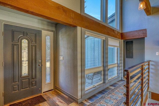 foyer entrance featuring a high ceiling, electric panel, dark hardwood / wood-style floors, and a wealth of natural light