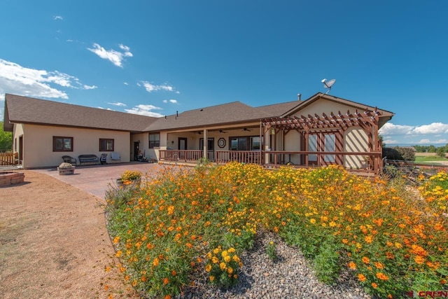 back of house featuring ceiling fan, a pergola, and a patio