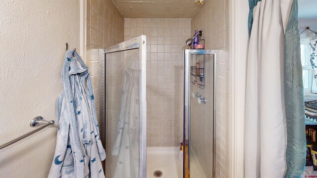 bathroom featuring a shower with shower door