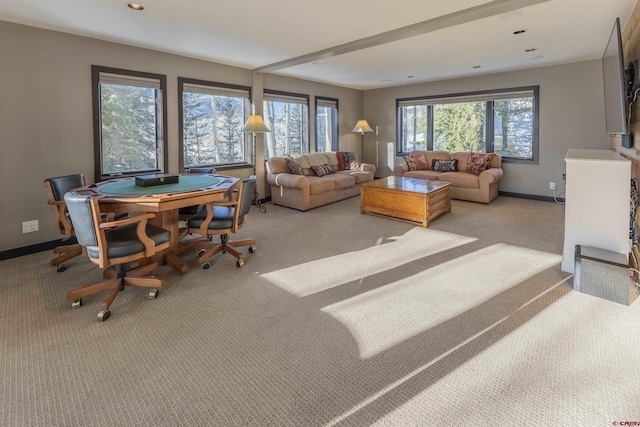 living room with light colored carpet