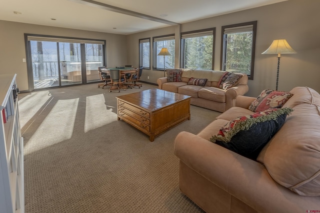 view of carpeted living room