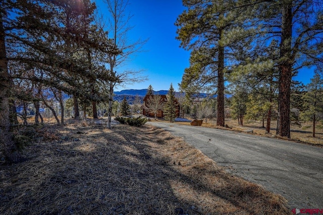 view of road with a mountain view