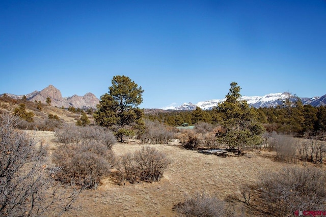 view of local wilderness with a mountain view