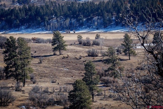 view of mountain feature