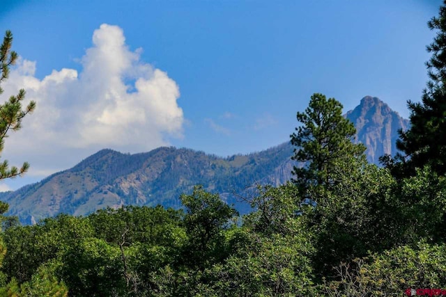 property view of mountains