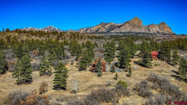 view of mountain feature