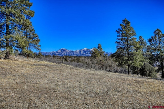 view of mountain feature