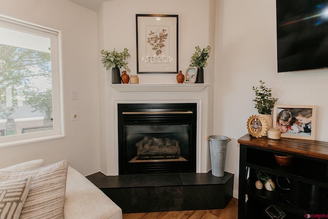 room details with hardwood / wood-style floors