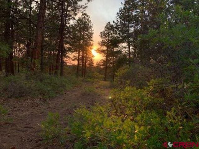 199 Meadow Ln, Ridgway CO, 81432 land for sale