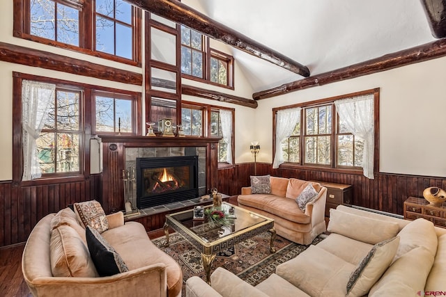 living room with a fireplace, vaulted ceiling, and a wealth of natural light