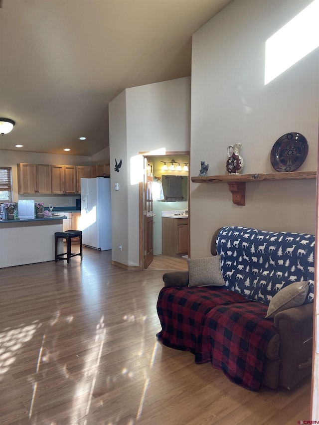 living room featuring hardwood / wood-style floors