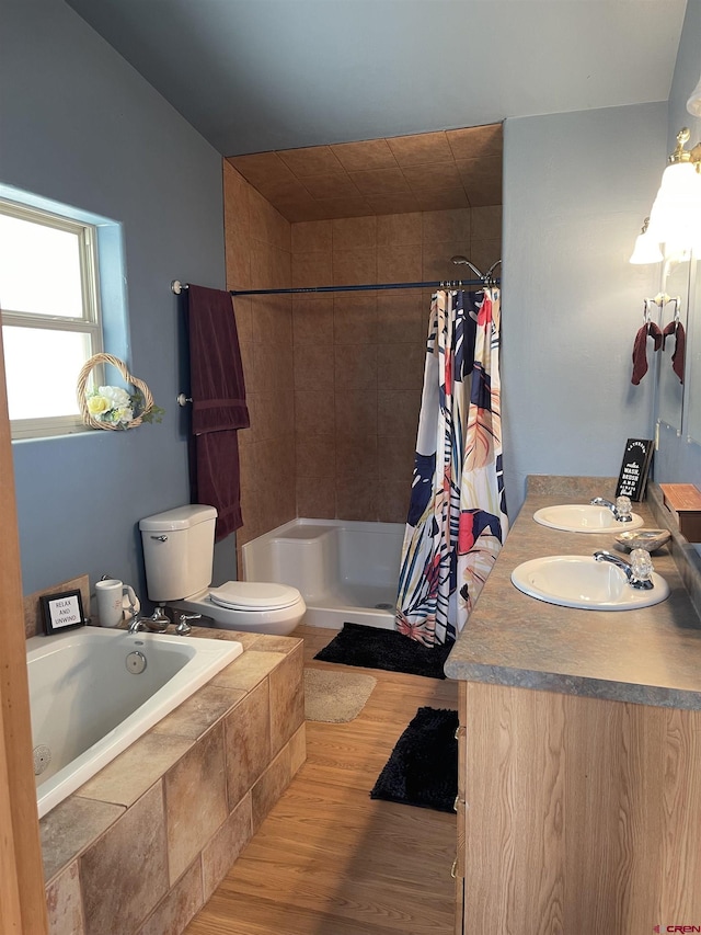 bathroom with vanity, wood-type flooring, and toilet