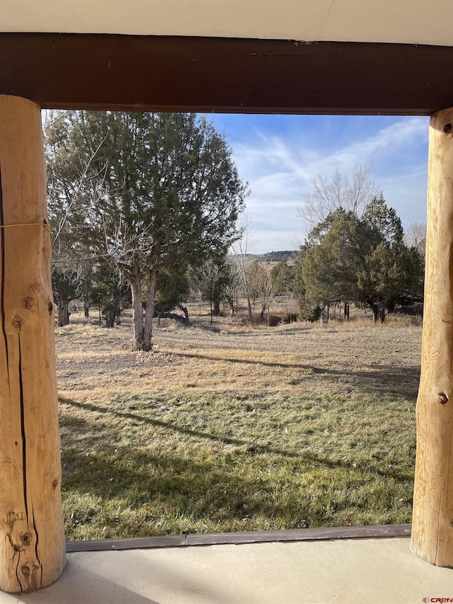 view of yard with a rural view