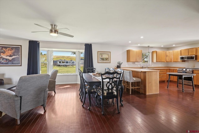 dining space featuring ceiling fan, sink, and dark wood-type flooring