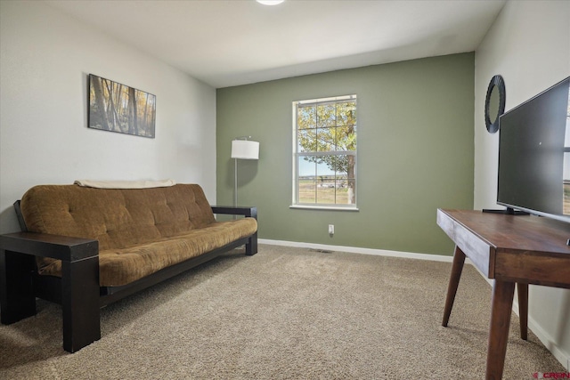 sitting room with carpet flooring