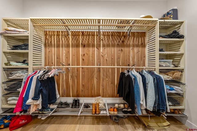 spacious closet with hardwood / wood-style floors