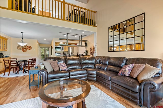 living room featuring light hardwood / wood-style flooring