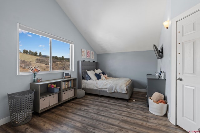 bedroom with dark hardwood / wood-style flooring and vaulted ceiling