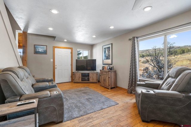 living room featuring light hardwood / wood-style flooring