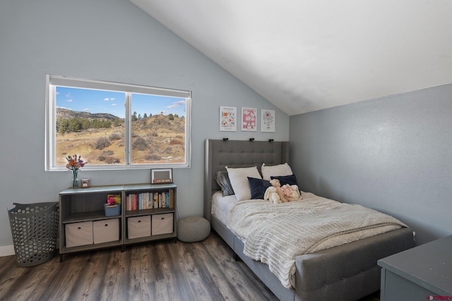 bedroom featuring lofted ceiling and dark hardwood / wood-style floors