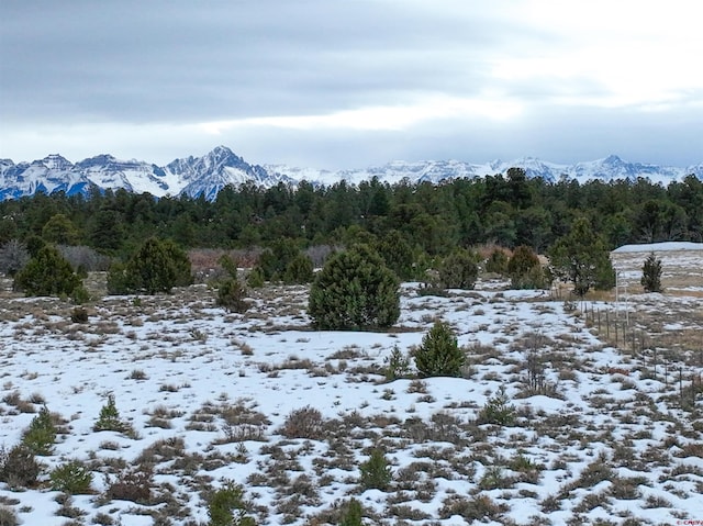 TBD Jumping Tree, Montrose CO, 81403 land for sale