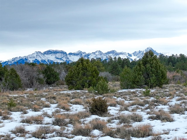 Listing photo 2 for TBD Jumping Tree, Montrose CO 81403