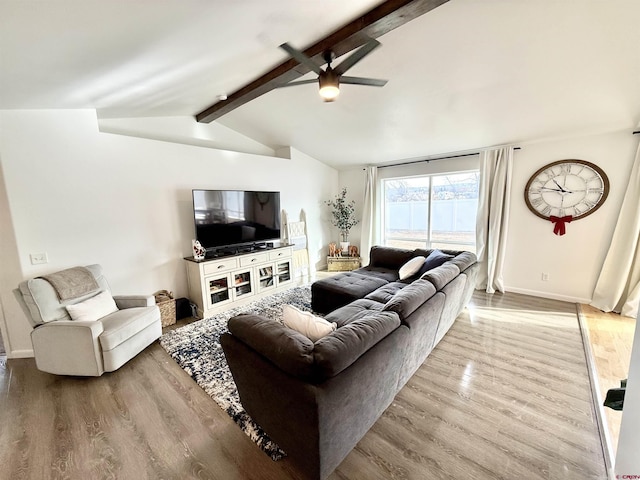 living room featuring vaulted ceiling with beams, light hardwood / wood-style flooring, and ceiling fan