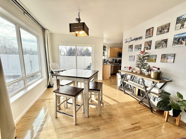 dining room with light hardwood / wood-style flooring and plenty of natural light