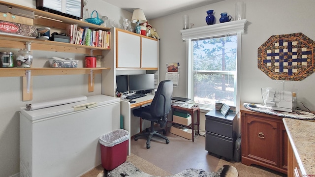 home office featuring a healthy amount of sunlight