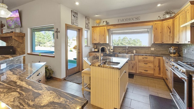 kitchen featuring decorative backsplash, sink, stainless steel stove, a breakfast bar area, and an island with sink