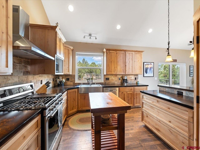 kitchen with backsplash, wall chimney range hood, hanging light fixtures, sink, and appliances with stainless steel finishes