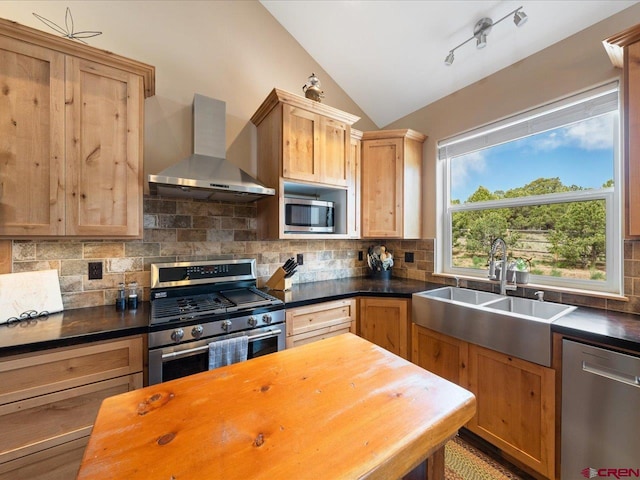 kitchen featuring wooden counters, wall chimney range hood, sink, vaulted ceiling, and stainless steel appliances