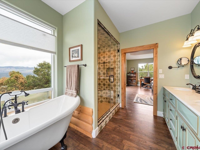 bathroom with vanity, wood-type flooring, and independent shower and bath